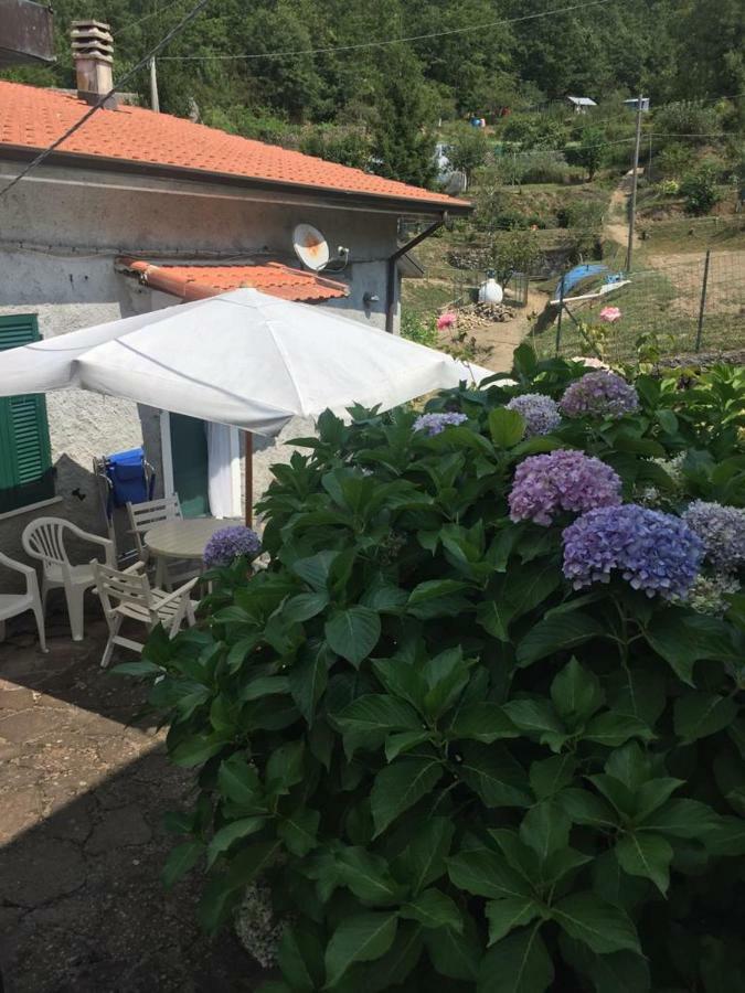 Ortensia Pignone Exterior foto